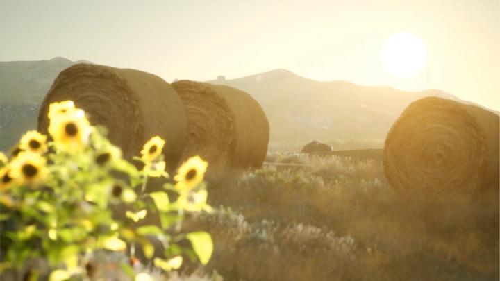 How do you find a yellow needle in a haystack?